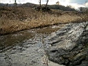 2007-04-08 015.JPG